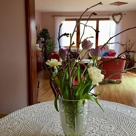 Ferienhaus An Der Kaschubischen Seenplatte *